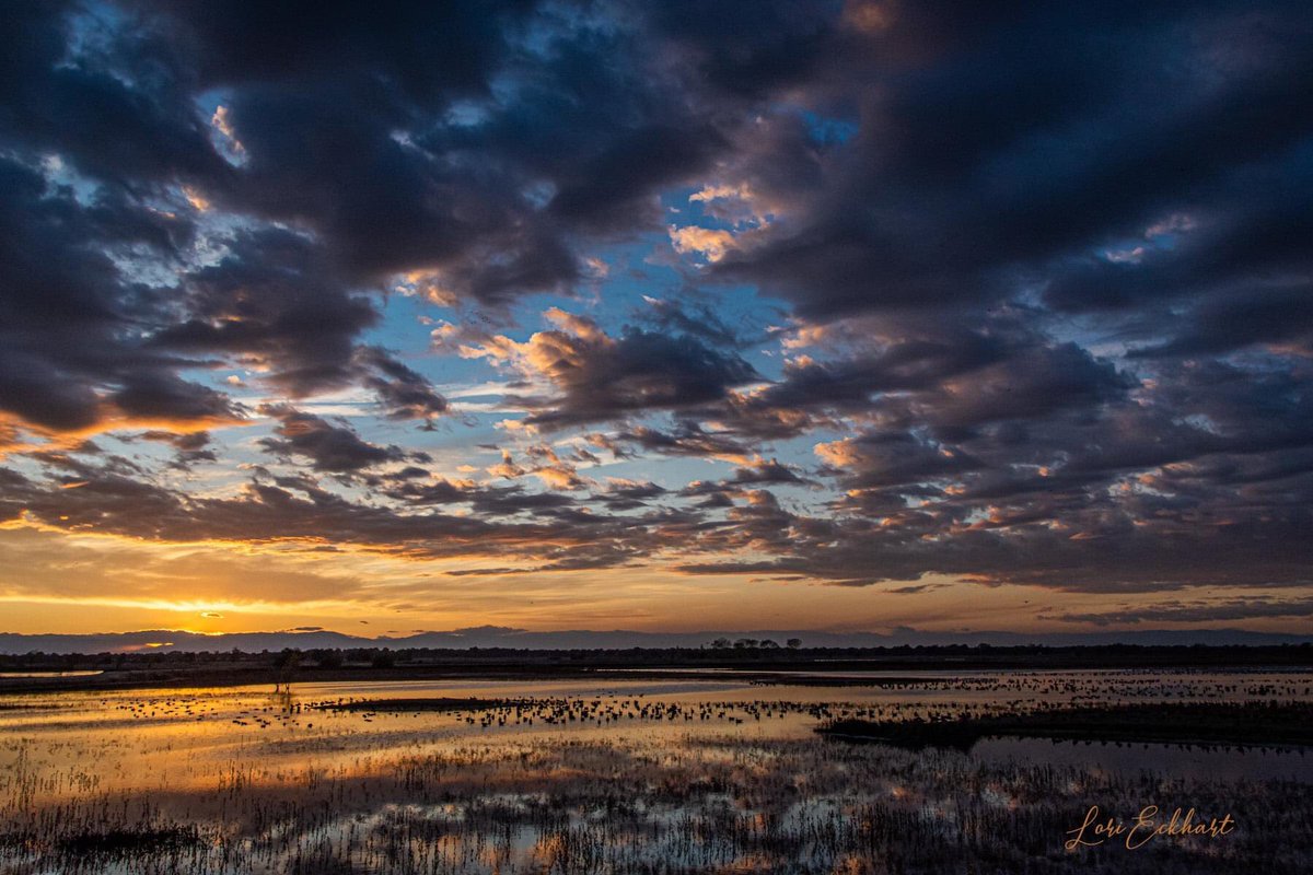 LoriEckhart1's tweet photo. @kcraFinan This was Saturday night’s sunset from the Llano Seco Bird Viewing platform, south of Chico. #sunset #llanoSeco https://t.co/xd1iDCHEFC