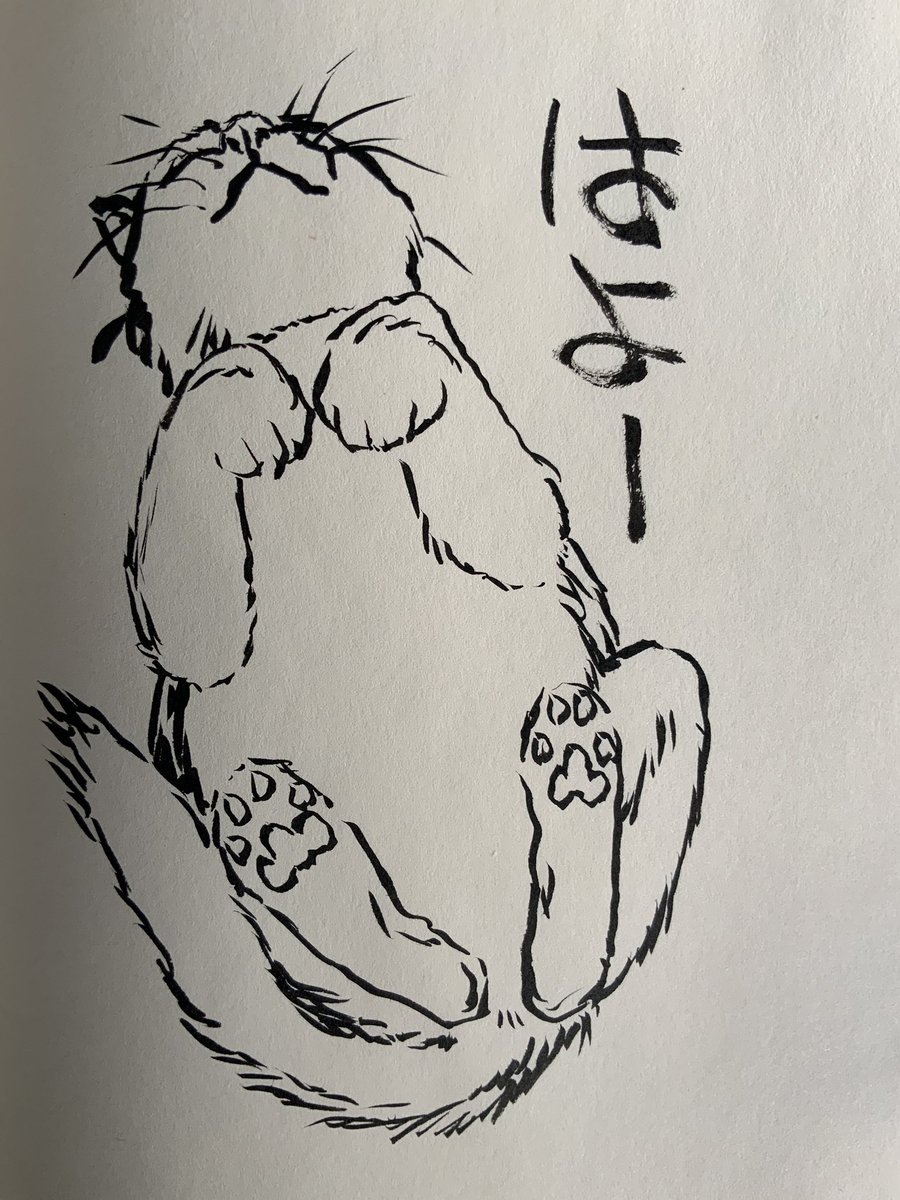 おはようございます! 