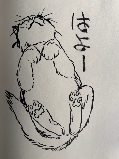 おはようございます! 