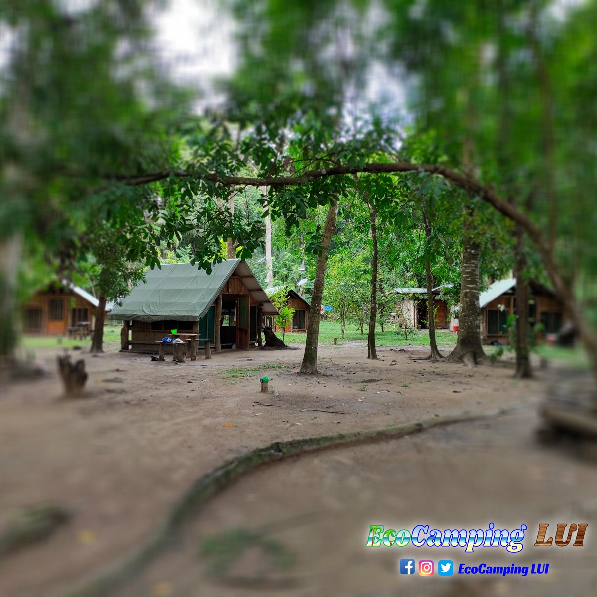 ecocampinglui's tweet photo. #EcoCampingLUI estamos esperando la apertura del #ParqueTayrona para que te hospedes con nosotros, con todos los protocolos de Bioseguridad.
#PlayaArrecifes #Arrecifes #PlayaCañaveral #Beach #Playa #TayronaPark #Tayrona #parquesnaturales #nationalpark #SantaMarta #Colombia https://t.co/9CROvdIzwX