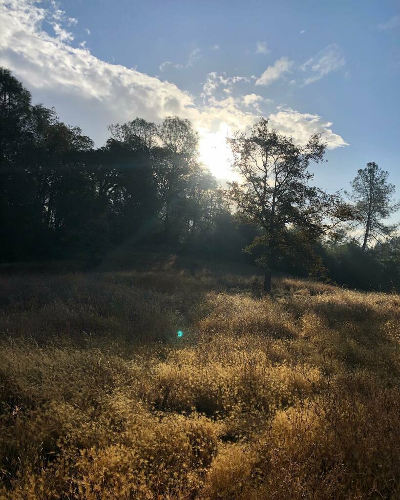 nashdj's tweet photo. Dawn patrol sights

#thenaturefix #instago #clouds #sky #pictureoftheday #optoutside #photooftheday #keepitwild #roamtheplanet #exloremore #simplyadventure #stayandwander #staywild #singletrack #hiking #trail #lovelifeoutside #exploremore #keepitwild #na… https://t.co/pn9hMkyjQ8 https://t.co/GVlCrUeiqJ