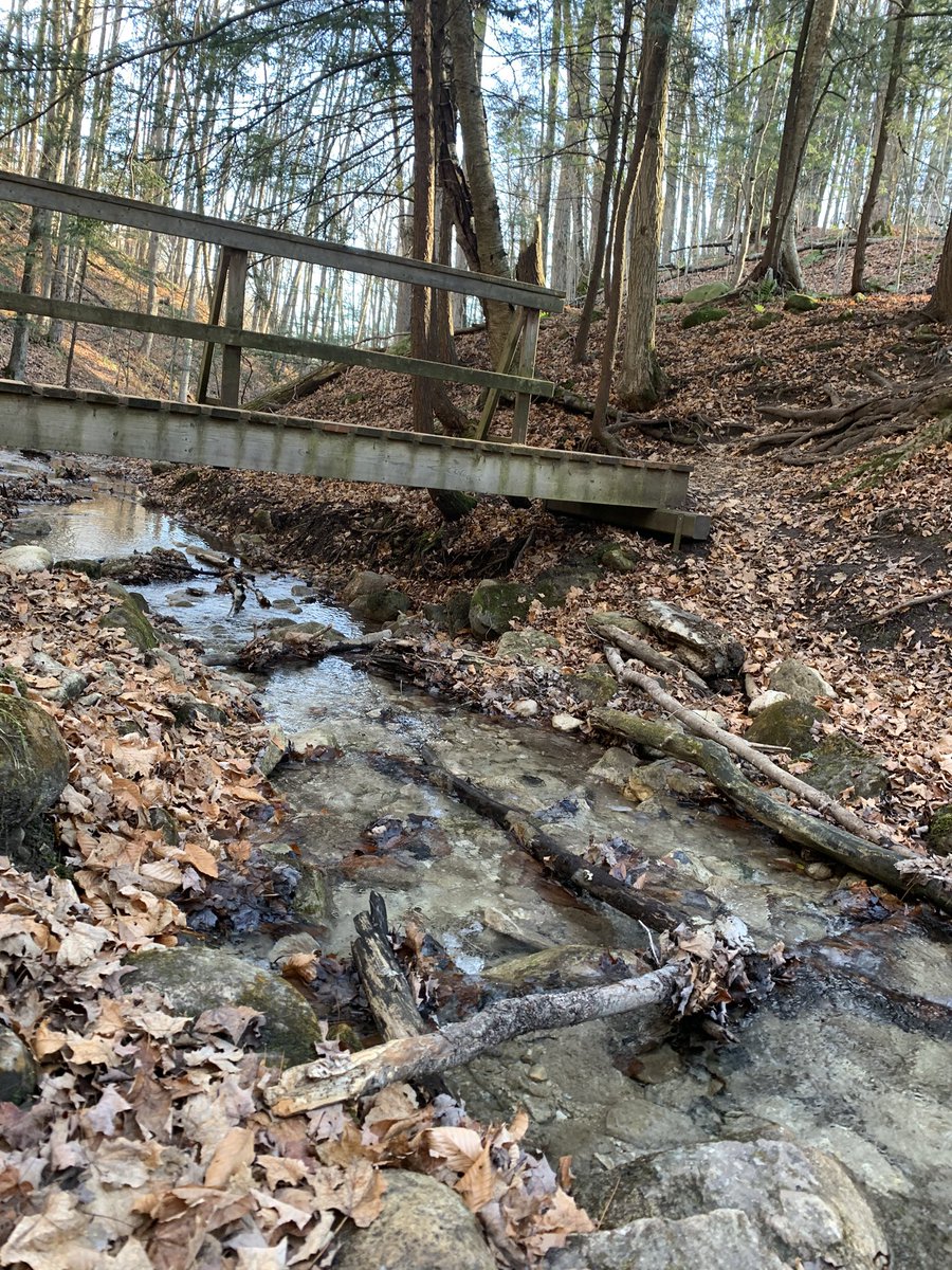 AndrewLocker's tweet photo. Where does learning and living with purpose happen? Here. It happens here. Hockley Valley Provincial Park and Nature Reserve. It happens when we walk with determination and dedication and open ourselves up to all of the possibilities that nature offers us. https://t.co/MnX4vklYuD