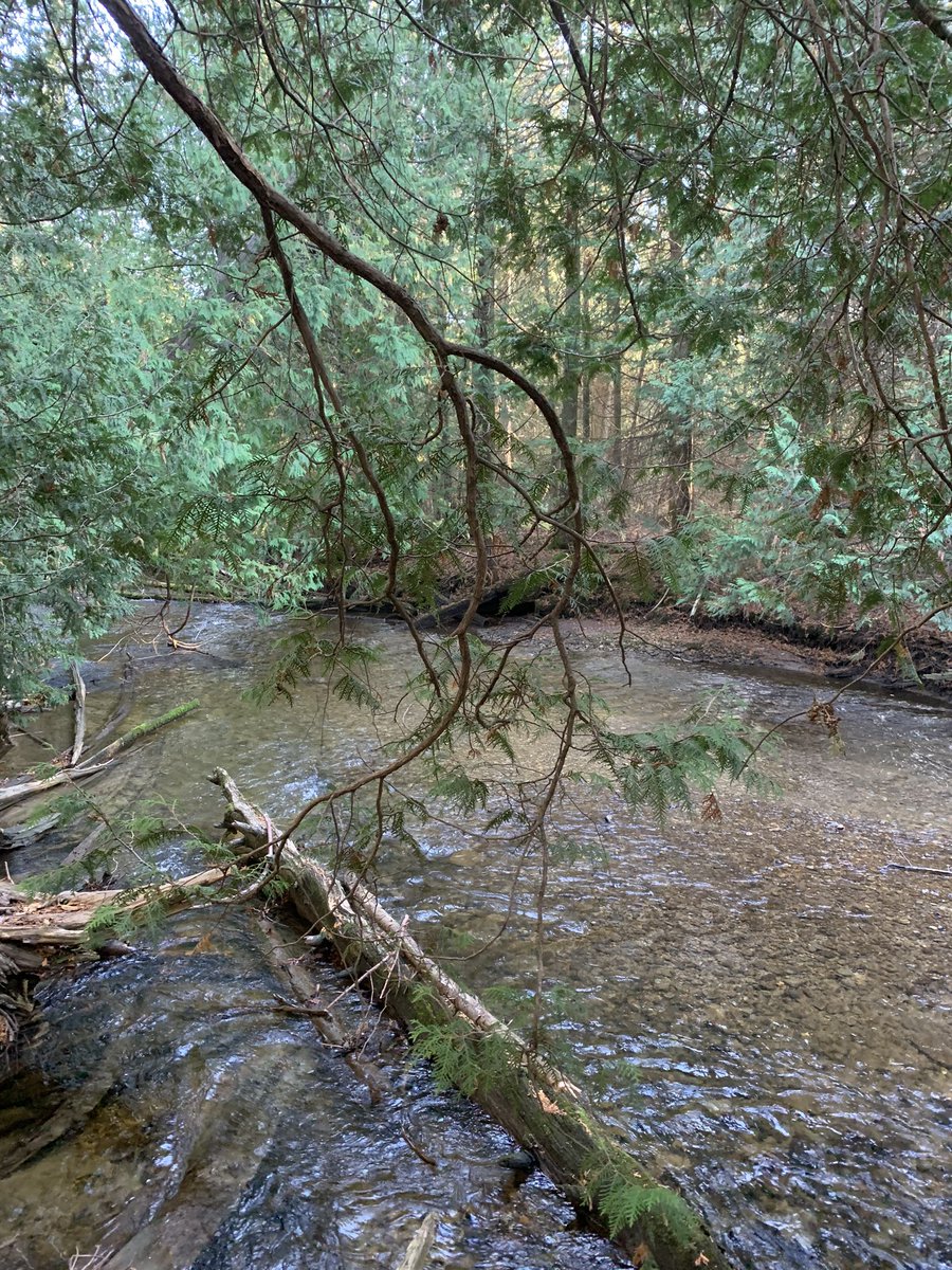 AndrewLocker's tweet photo. Where does learning and living with purpose happen? Here. It happens here. Hockley Valley Provincial Park and Nature Reserve. It happens when we walk with determination and dedication and open ourselves up to all of the possibilities that nature offers us. https://t.co/MnX4vklYuD