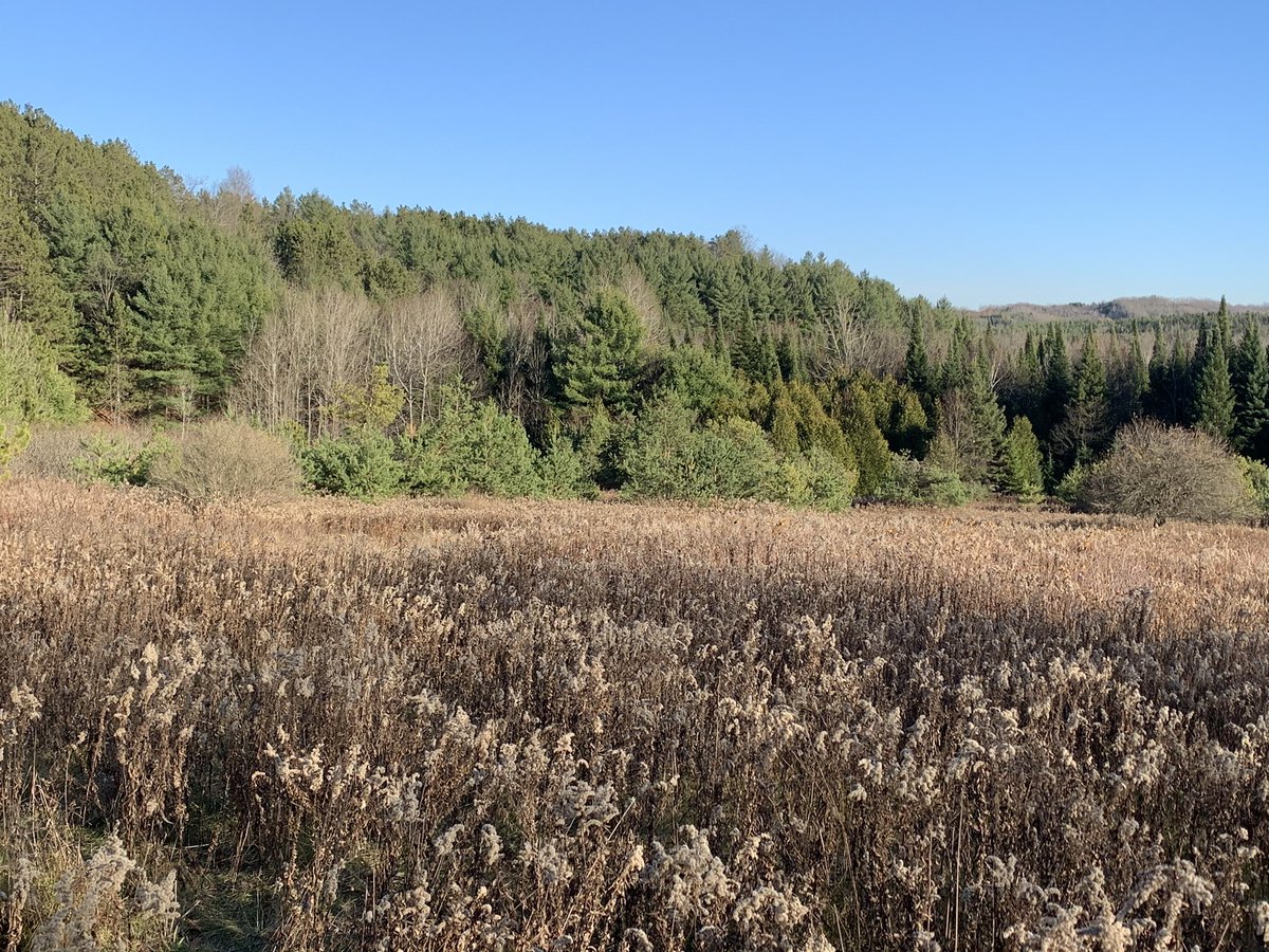 AndrewLocker's tweet photo. Where does learning and living with purpose happen? Here. It happens here. Hockley Valley Provincial Park and Nature Reserve. It happens when we walk with determination and dedication and open ourselves up to all of the possibilities that nature offers us. https://t.co/MnX4vklYuD