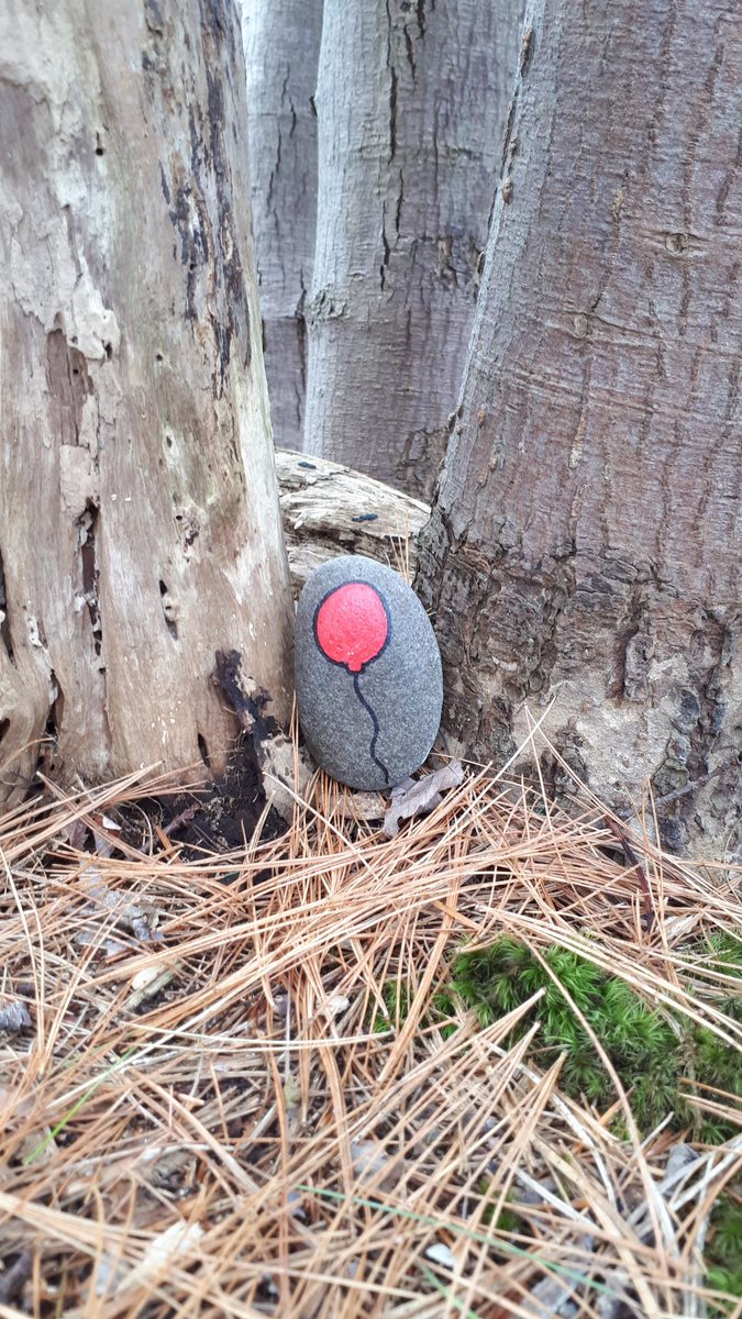 rodschofield's tweet photo. Picture Of The Day Nov 9 2020 #Halifaxrocks https://t.co/YiuKDc18Ps