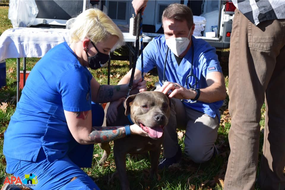 APAofMO's tweet photo. Over the weekend the APA Pet Partners Program vaccinated 44 pets against rabies and distemper at Dellwood Park in our community focus area of 63136. Vaccination is an important part of keeping your pet healthy. Speak to your vet about which shots your furry friend may need. https://t.co/uKeeXCy4wo