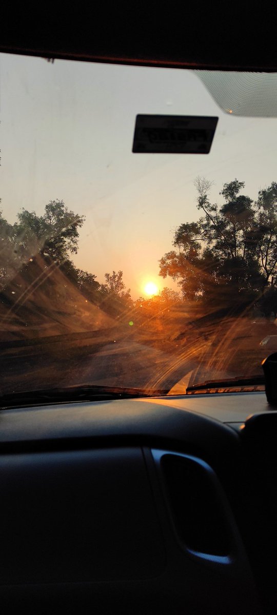 saloni857's tweet photo. Gorgeous morning
Rise amd shine lovelies ❤
#morningmotivation #morning #tuesdayvibe #naturelover #sunlight #SUNLITE https://t.co/Ec2eYTMBYg