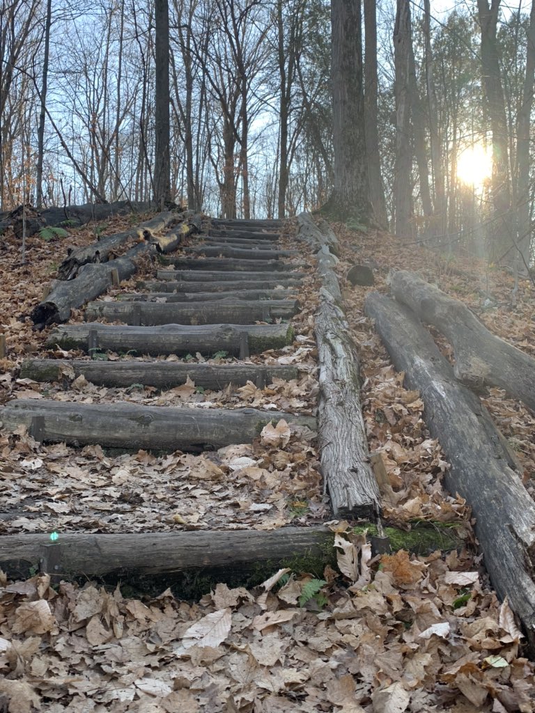 AndrewLocker's tweet photo. I often spend some of my best thinking time reflecting about leadership while hiking. As I stood at the bottom of those stairs, I thought of the team, all of those serving on the front lines of our education sector. One foot in front of the other. One step at a time. We got this. https://t.co/ZJRgB8ydDD