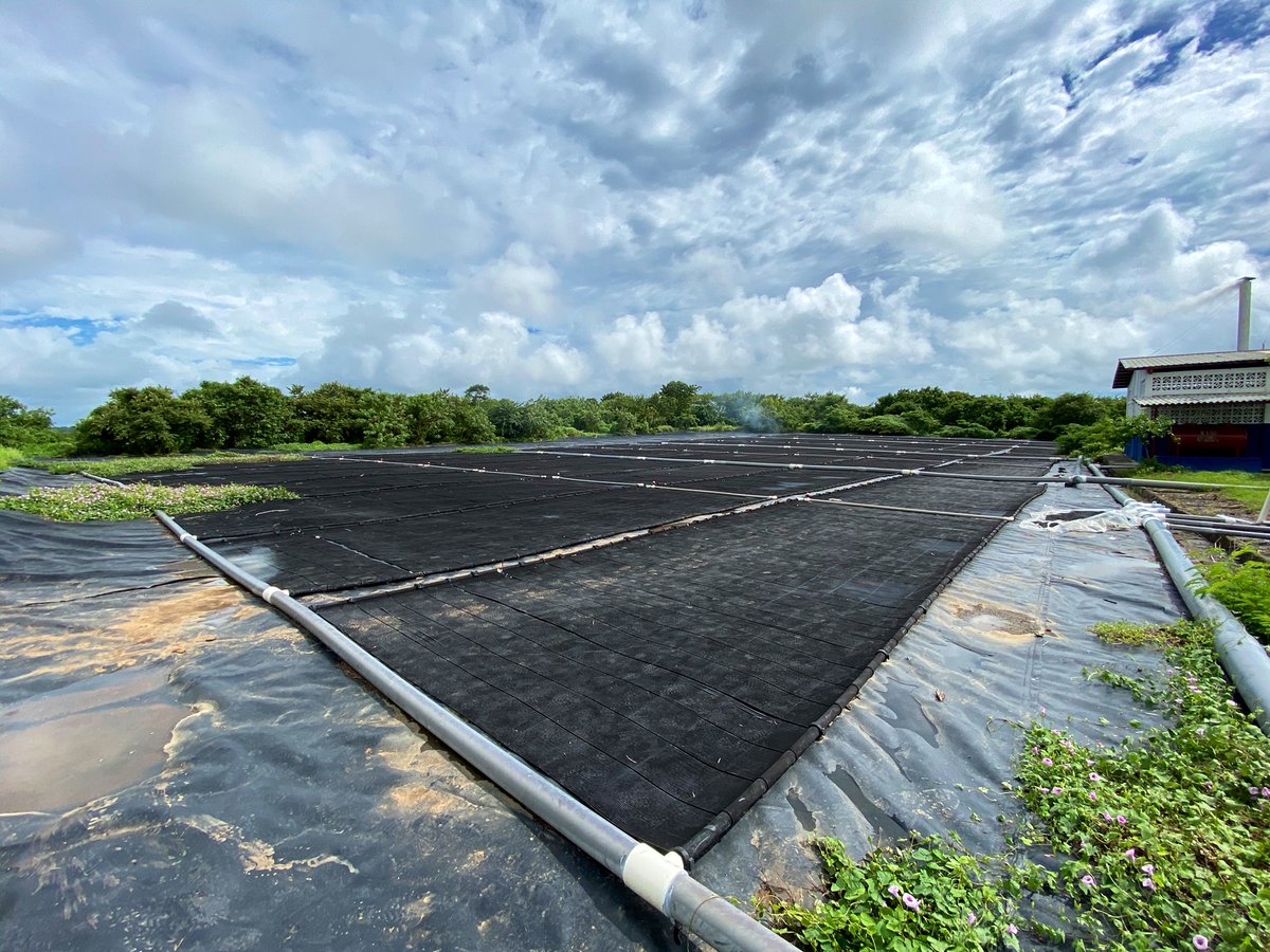 javagu73's tweet photo. Reactivando una antigua instalación de calentamiento solar de agua (CSA) en el laboratorio de Miramar de Pescanova Nicaragua. Seguimos sumando en sostenibilidad
@PescanovaCorp
#sostenibilidad
#pescanova
#solarenergy https://t.co/wbOMByQpoE