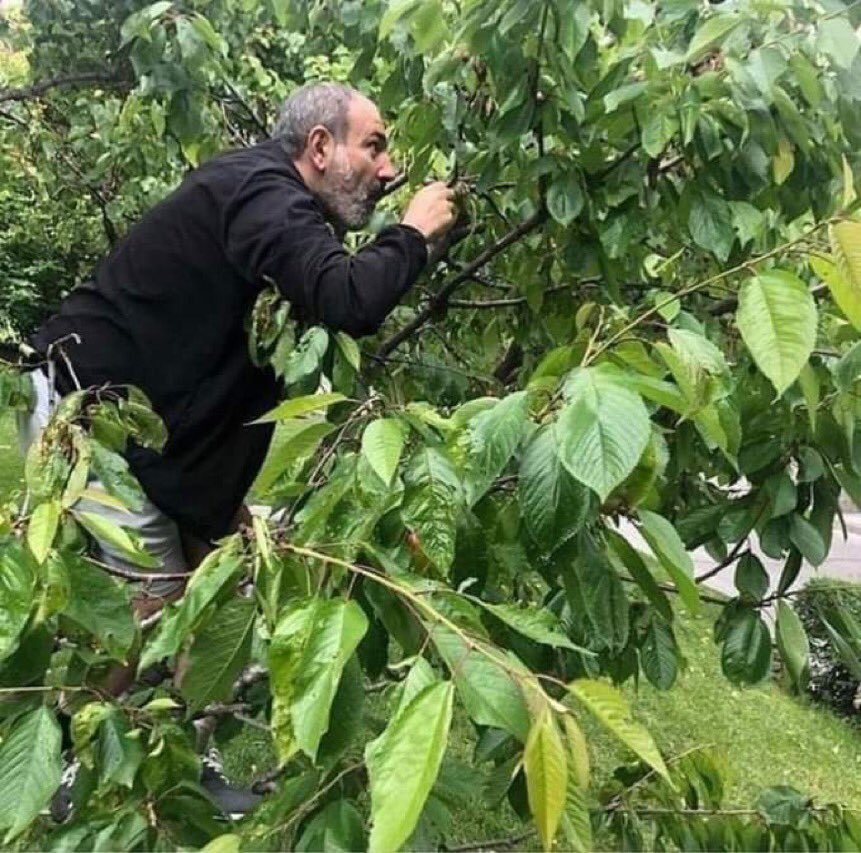 GreyWolvesUnity's tweet photo. ✅ Pashinyan cheat his people

At least 15000 Armenian soldiers died for nothing and Armenia got huge economical harm because of his madness

He entered a war by hoping 🇷🇺 to save his ass and hided the truths from his people

#Karabagh
#Azerbaijan
#Armenia
#Artsakh
#ArtsakhStrong https://t.co/jlEfwuypqe