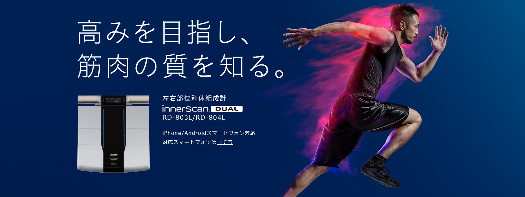 TANITAタニタ左右部位体組成計innerScanインナースキャンRD-803