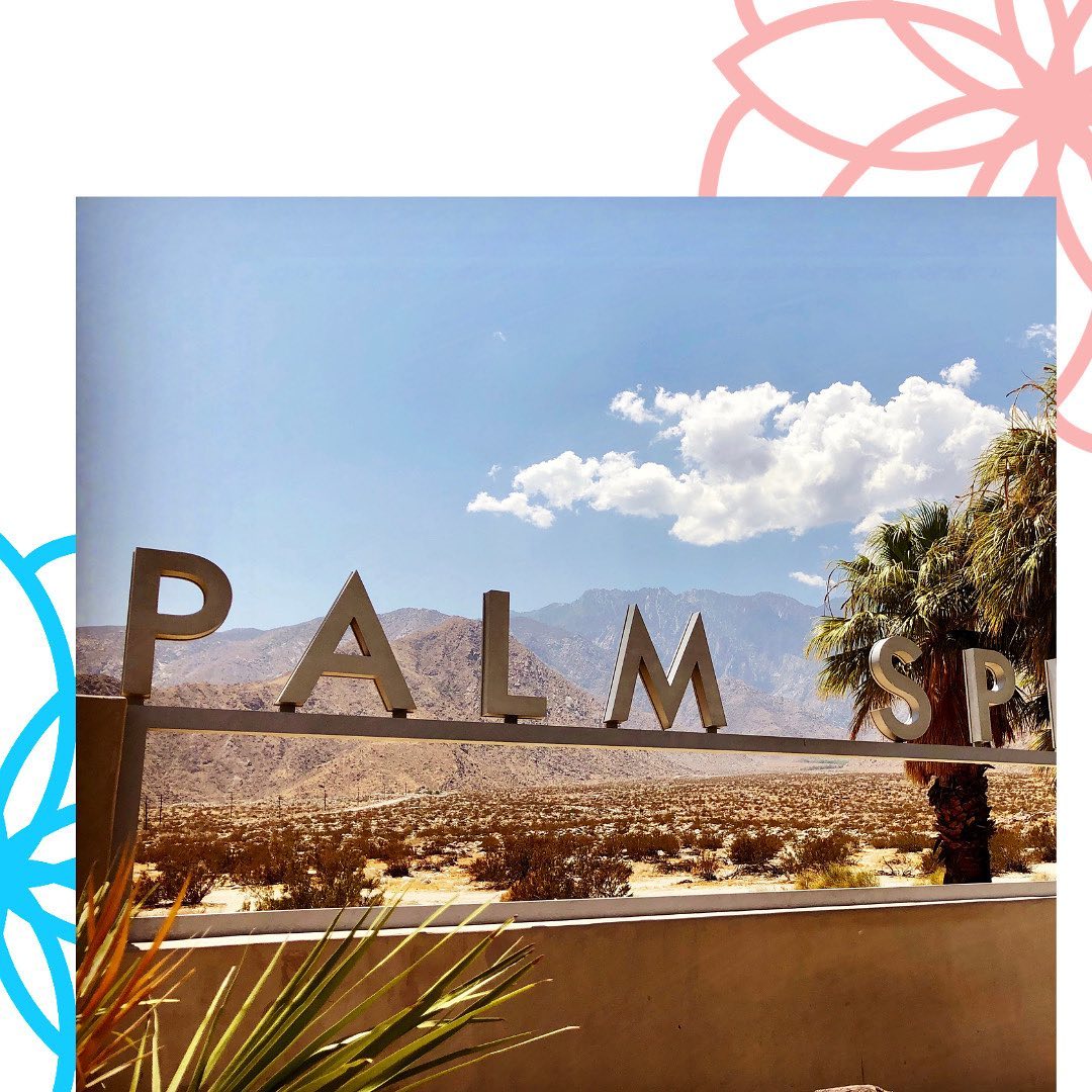 cafelajefa's tweet photo. Palm Springs always stands out for its midcentury-modern architecture and unique design.

We are so excited to call Palm Springs home to Cafe La Jefa!

#Palmsprings #palmspringslife #comingsoon #cafelajefa #cajelajefacoffeeshop #comingsoontopalmsprings #coffeeshoppalmsprings https://t.co/zxCtY5Vi8e