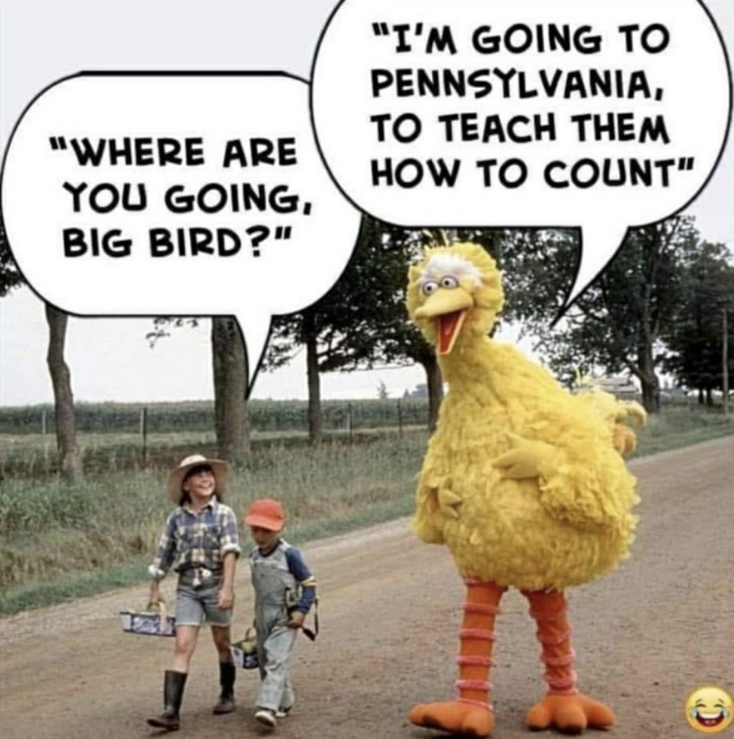 Lisa_Matassa's tweet photo. Go Big Bird!! Go!! 🤣 #ElectionFraud #StopTheSteal https://t.co/dDQEmfew2B