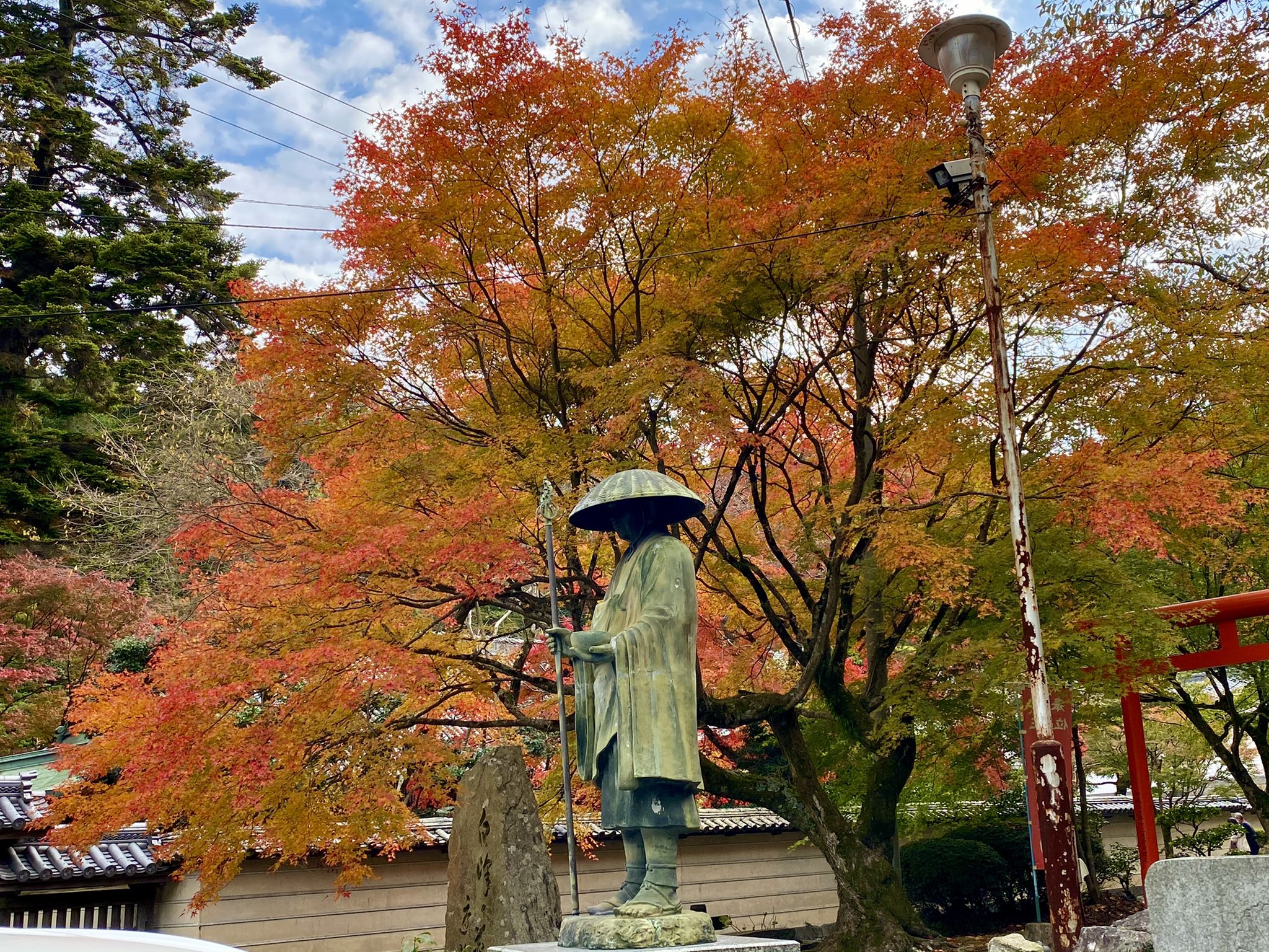 香川県の紅葉 Twitter Search Twitter