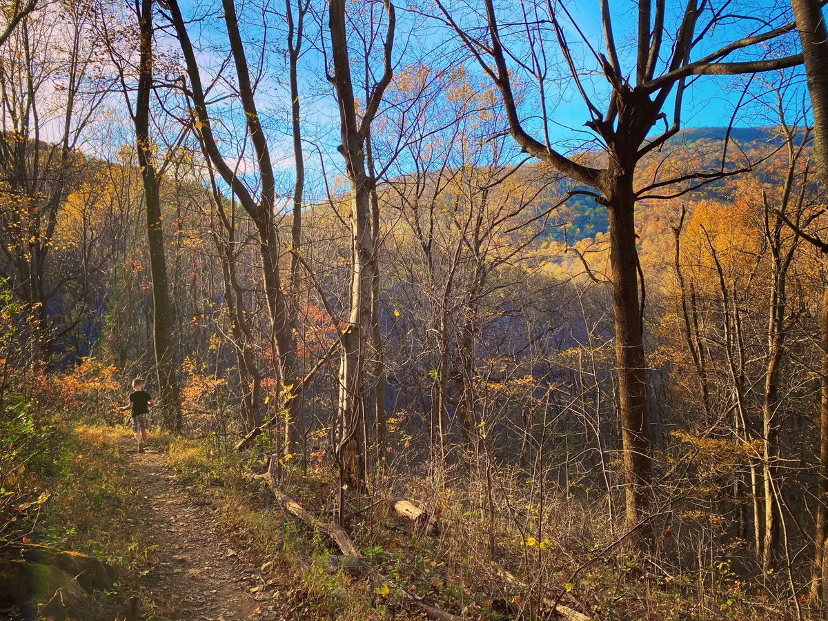 AcadiaNunesADHD's tweet photo. I hit a wall yesterday... longgg to do list and spent from election week stress & *alltheinfo* at #ADHDCon.
As I lay wallowing in overwhelm, I begrudgingly realized my fastest fix was to get outside.
And I did. And it was both glorious & restorative.
#ADHDexercisers #nature https://t.co/yptYNlCtnr