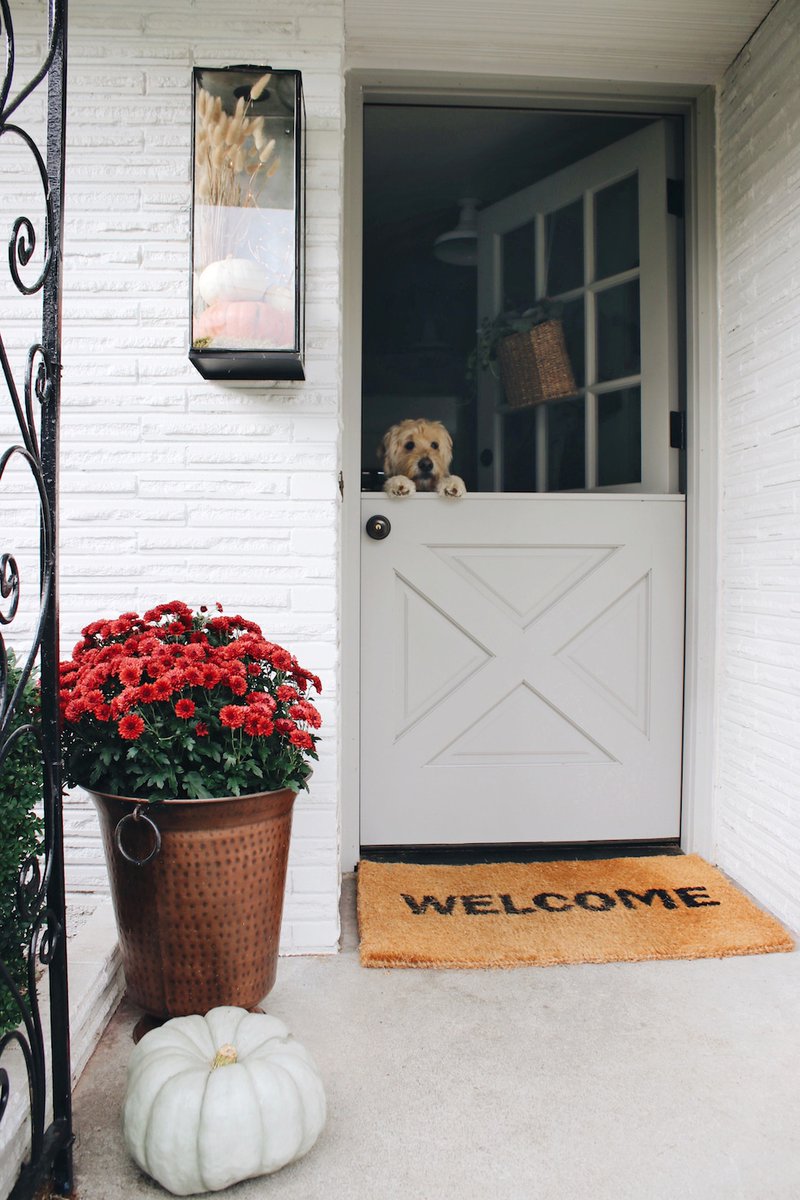 Just_DIY_Decor's tweet photo. My Simple Fall Porch + Lantern
https://t.co/TN9GYbJuii
#homedecor #home #diy #fallporch #porch https://t.co/Xh2HMQJWwr