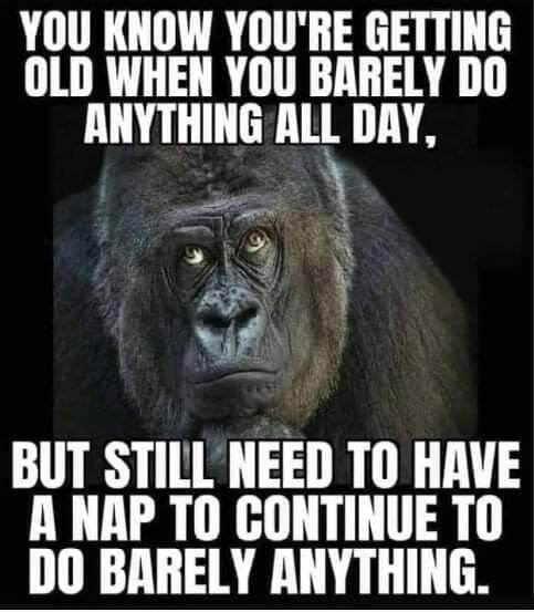 IBDBatman's tweet photo. Day 5 of #lockdown2 π€
Not done very much today so here's something silly ..... but true π€·ββοΈπ€π€£π€£
ππ #IBDBatman
#IBDSuperHeroes #IBDLife #Crohns #Colitis #IBD #togetherwearestronger #sickbutinvisible #lockdown #lockdown2020 #lockdownlife #shielding⦠https://t.co/38I2V8oKNr https://t.co/Ih7PzaDGy3