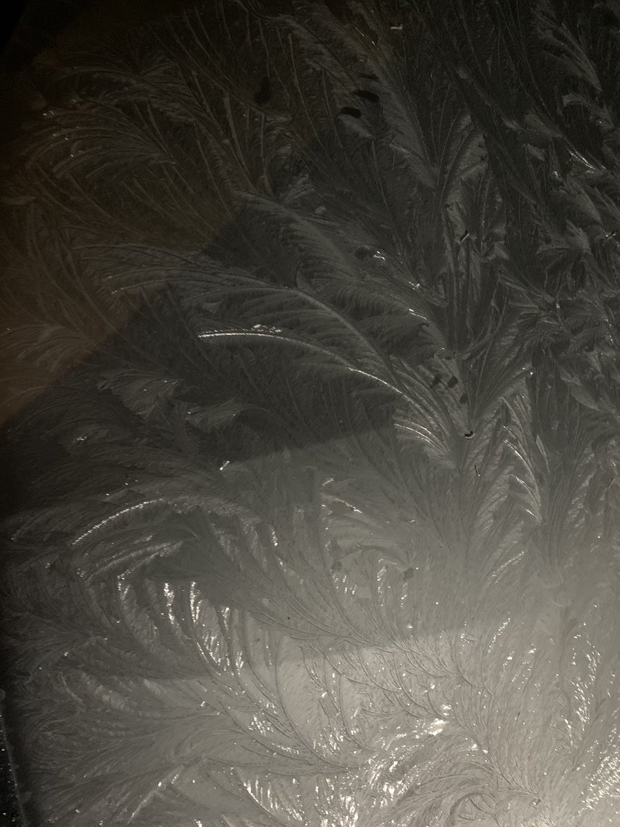 TPS_Guy's tweet image. A couple of nights ago my car had a layer of frost on it. Had to snap a picture, thought this detailed pattern was sort of cool. #YeahScience