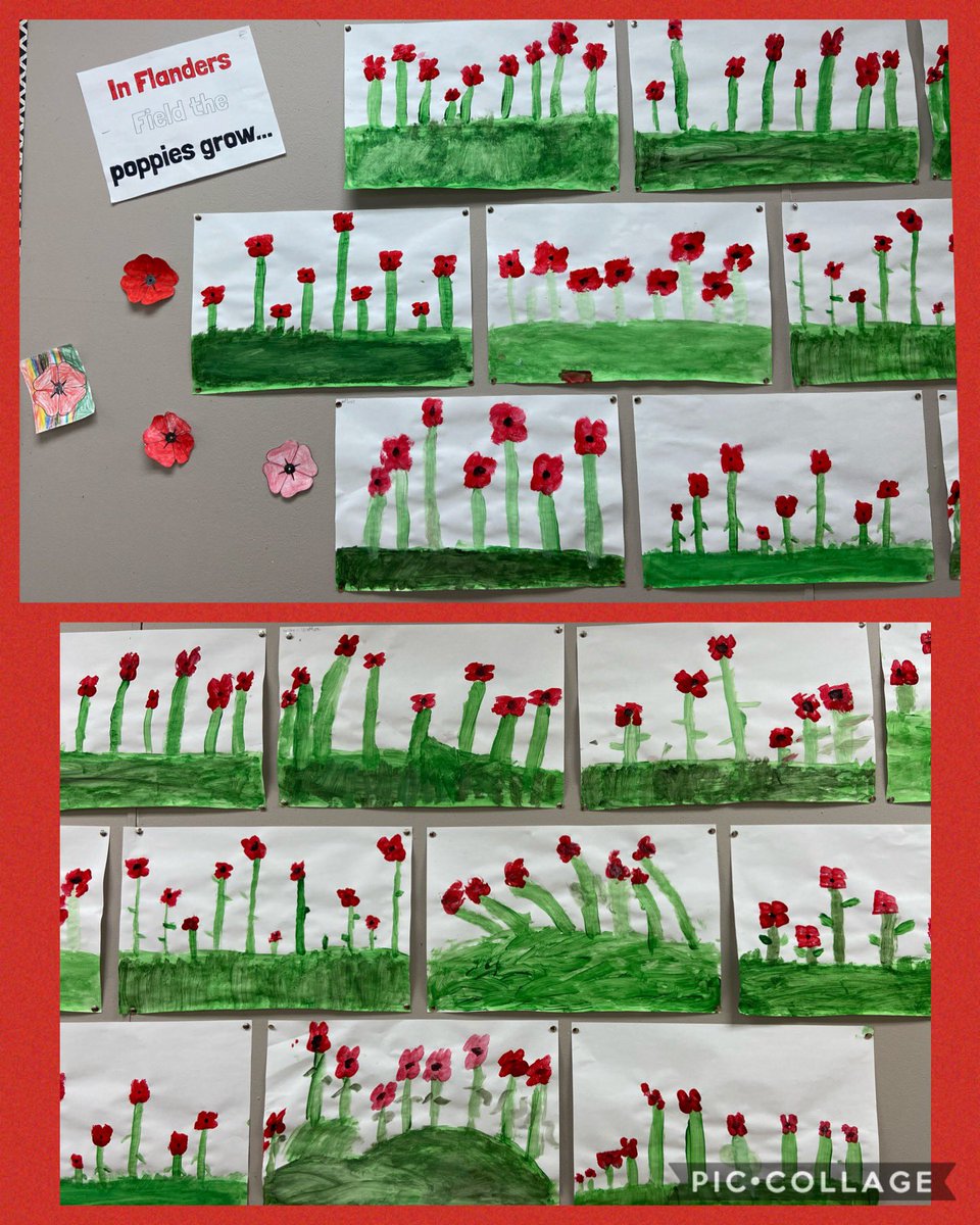 FurtneyUTES's tweet photo. After reading, and listening to, “In Flanders Field,” we decided to make our own field of poppies. #LestWeForget #RemembranceDay https://t.co/YFO7sjGCqZ