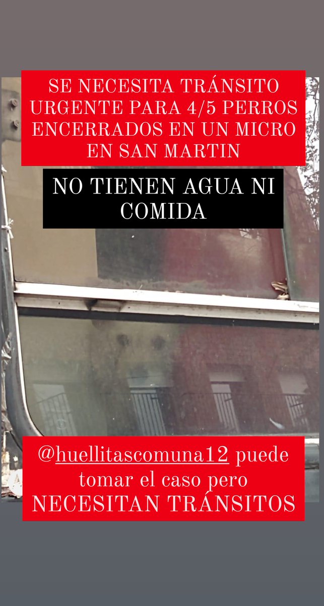⚠️SE NECESITA TRÁNSITO URGENTE PARA 4/5 PERROS ENCERRADOS EN UN MICRO EN SAN MARTIN⚠️
🚫ESTÁN SIN AGUA NI COMIDA🚫
SOLE 11 6409-5109
JULI 11 4158-4720