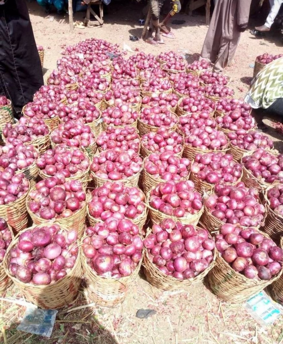 _bellabecca's tweet photo. Hi, I have fresh and very affordable baskets and bags of onions for sell. 
Baskets - 5k
Bags - 45k
Send me a DM. 
Please help me secure that 2k abeg.
THANK YOU https://t.co/FUO3hHIHbR
