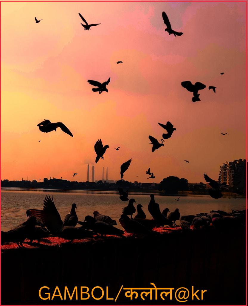 ratnani1958's tweet image. #gambol #piegon #kotabumi #kishoresagartalav #badrinathkidulhania #shooting