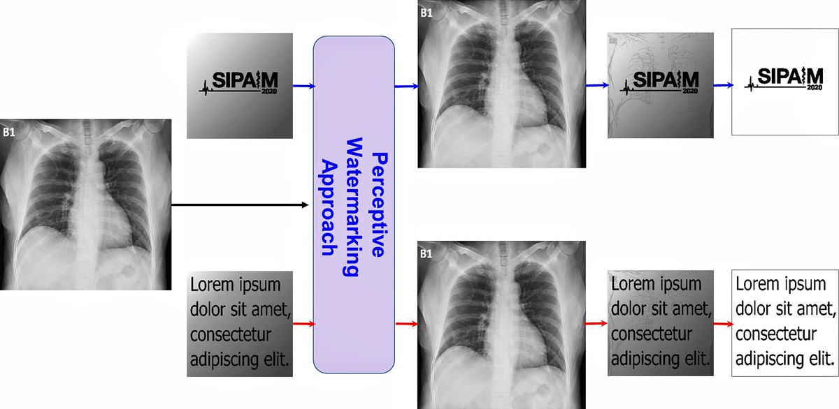 emoyalbor's tweet photo. I'm happy our work “A Perceptive Watermarking Approach Applied to COVID-19 Imaging Data” (SIPAIM20) was published on https://t.co/yRnvnGymrz. Thanks to my co-authors @jebrieva, @hirameredin and Sandra Coronel. @InvestigacionUP @UPingenierias @UPInstitucional @UPMexico #ResearchUP https://t.co/v0vZYjPwpu