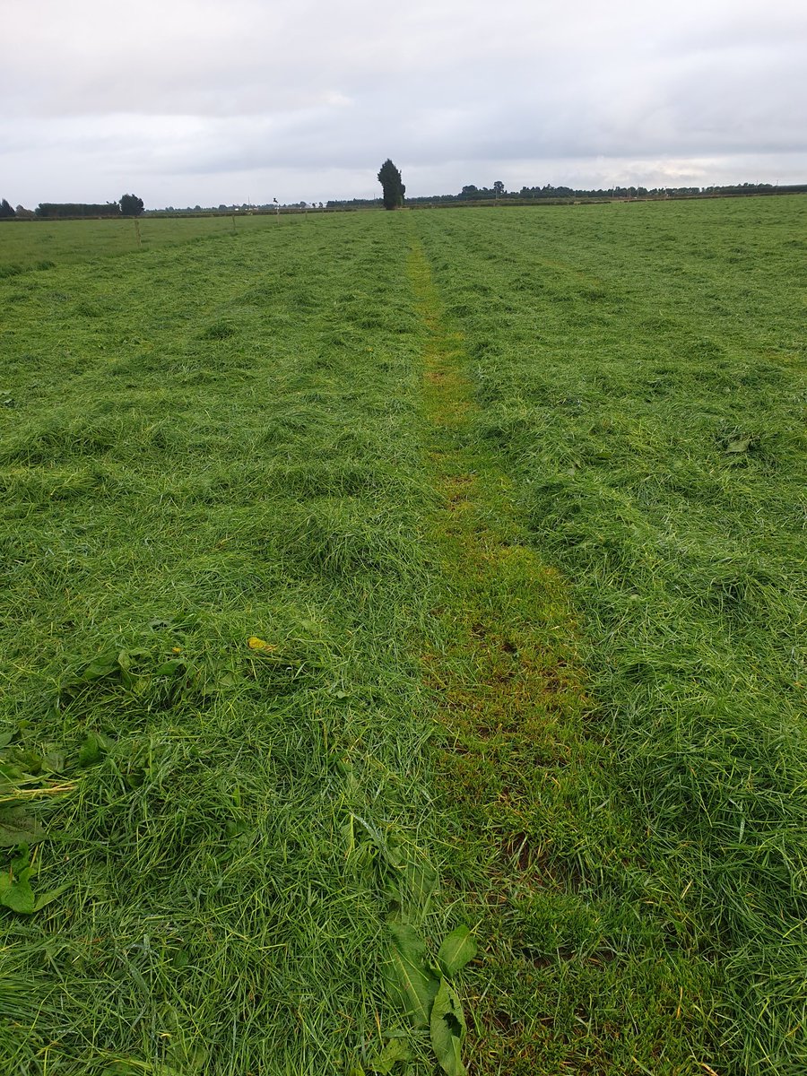 dairymanNZ's tweet photo. Mowing grass during a surplus to feed out when there's a feed deficit is all part of the farming cycle. The grass gets wrapped in plastic which we later burn to make the seasons warmer, just as nature intended
#FarmingWithKreg https://t.co/OPKO7fFxsF