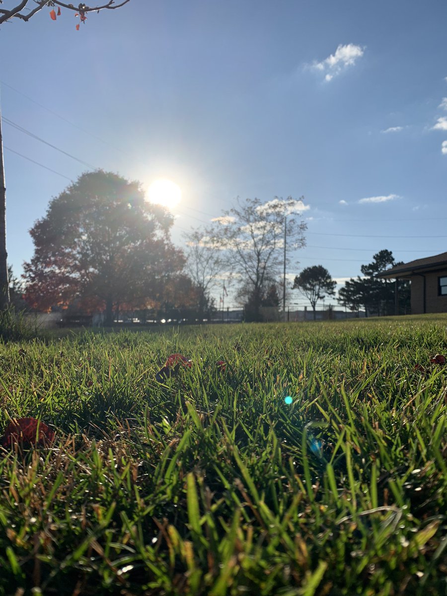 lilem554's tweet photo. November afternoon ☀️ https://t.co/DwPSAKq5JE