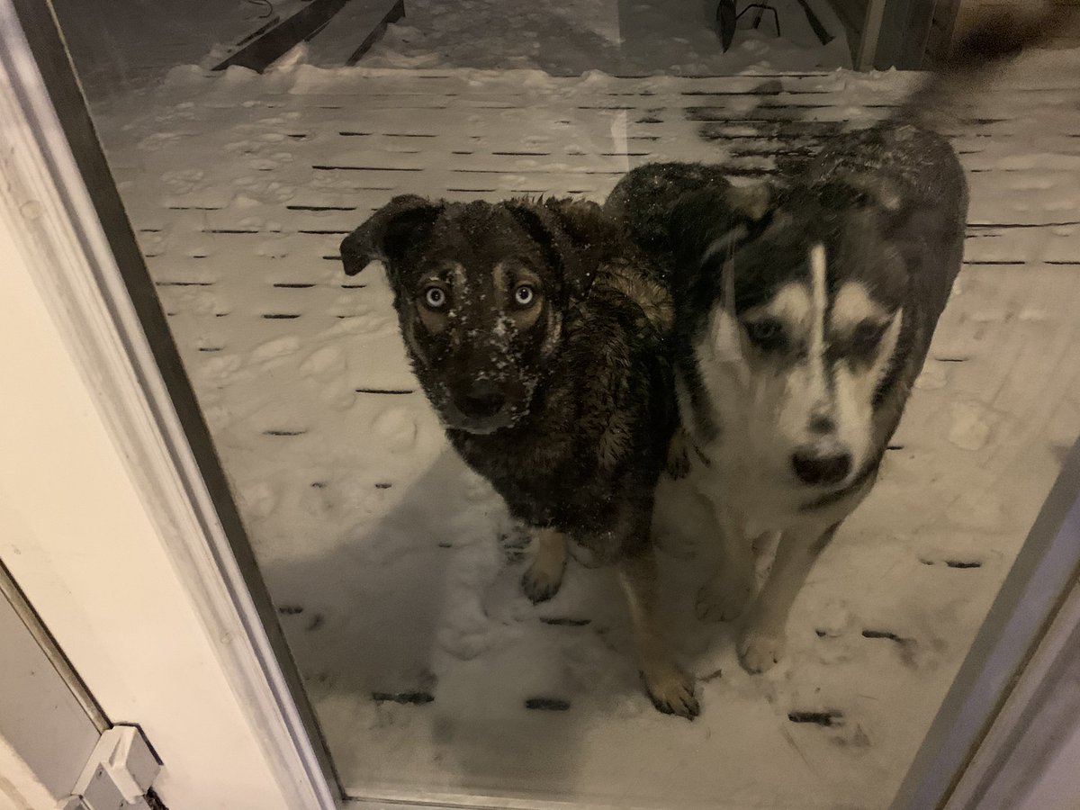 Miss2LS's tweet photo. @CandraTinis @CPRSHealth @CPRS Gotta love that snow! https://t.co/FtJ1VCJzey