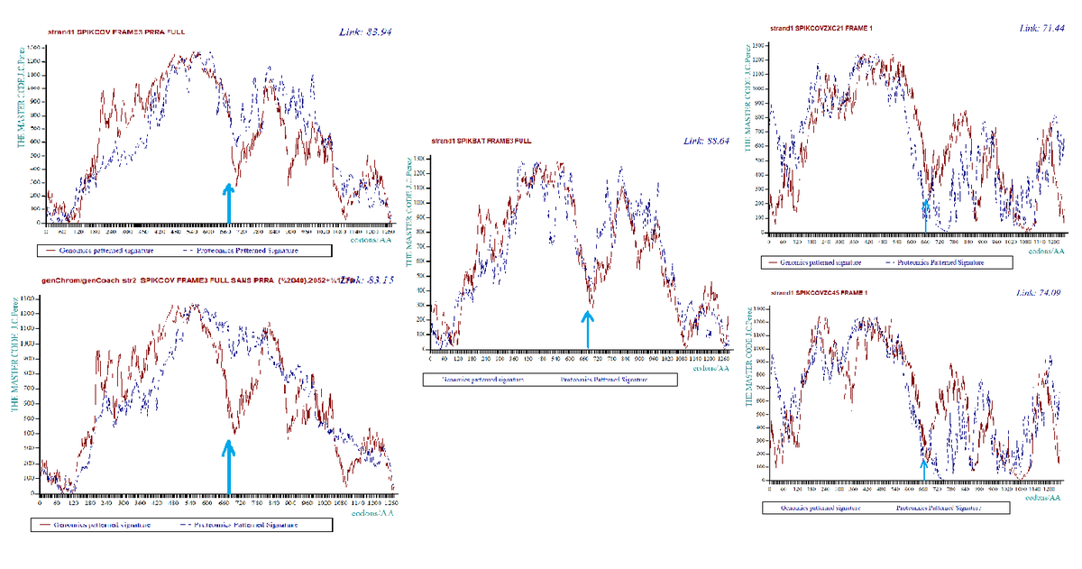 Understanding the origin of this virus is an important issue and it is necessary to determine the mechanisms of its dissemination in order to contain future epidemics.
