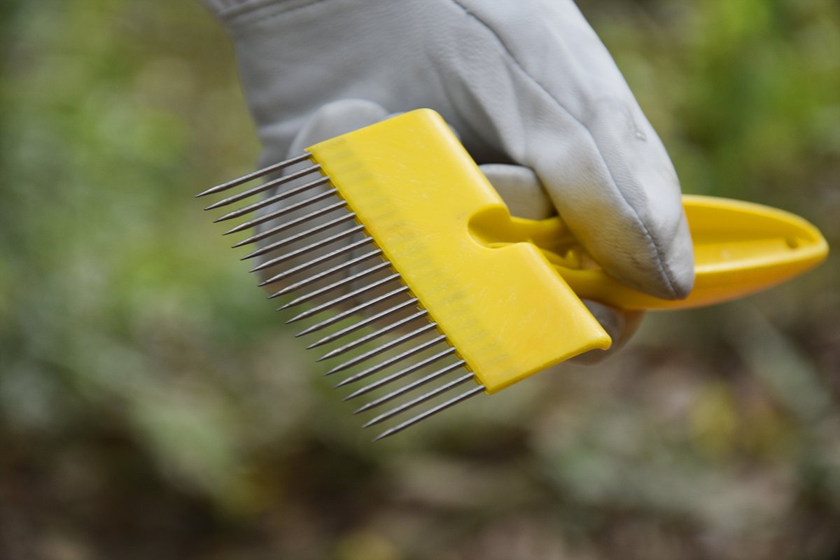 szbenefitbee's tweet photo. Beekeeping Equitment 19 Pin 304 Stainless Steel BeeKeepper Used Plastic Handle Bee Fork. 
#benefitbee #beekeeping #honeybee #beefork #beekeeper #uncapping #fork #Fork #bee

Link:https://t.co/Y9Mafpr75Q https://t.co/3WmdnghpGk