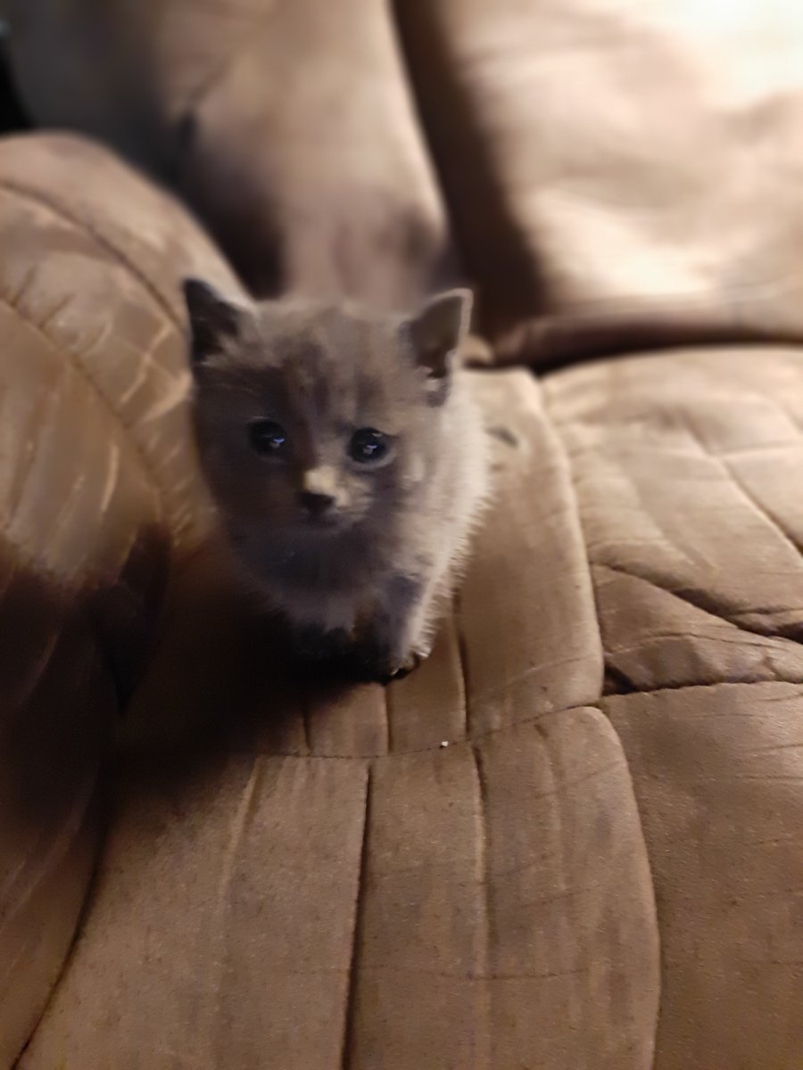 Mom Froem tweet media