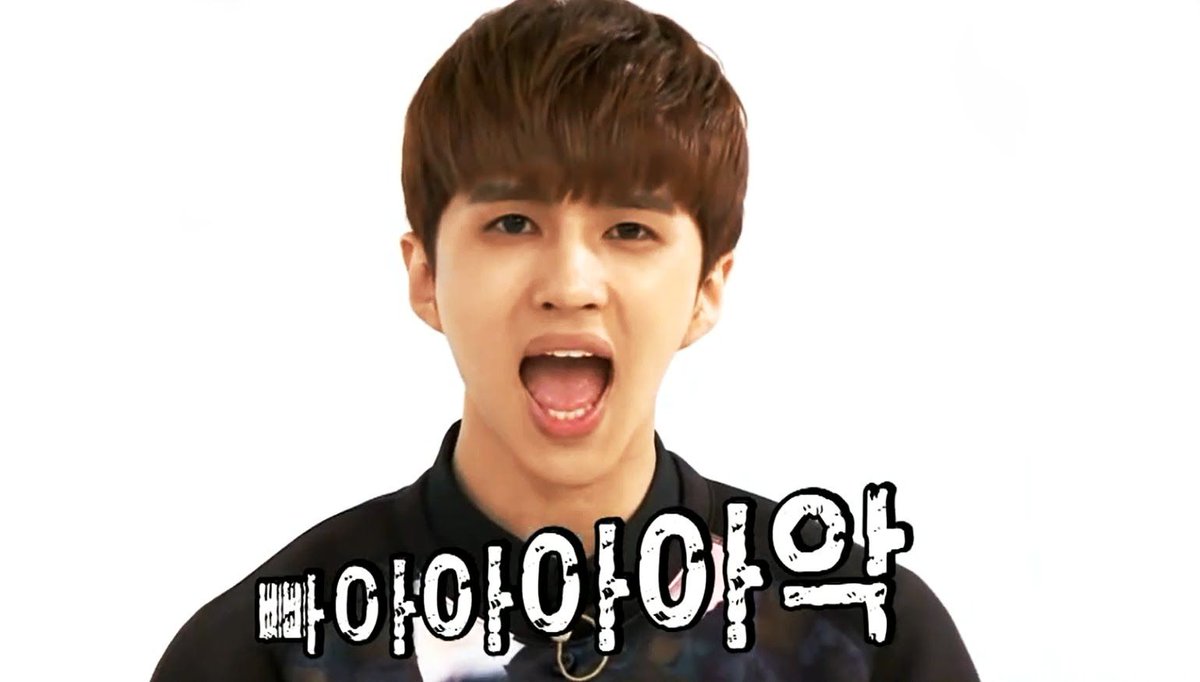 jaehwan  mari- actual sunshine- but will burst your eardrums how are they so loud- questionable behavior but nobody questions it at this point- probably trolls people regularly- it's joke- power vocals- secretly a white person