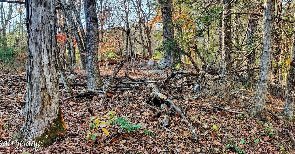 AdalinkaNYC's tweet photo. 3.Delaware Water Gap National Recreation Area.
11.07.2020.
7T Pro 5G McLaren.
@oneplus
#shotononeplus
#oneplus7tpro5G
#OnePlus
#OnePlus5GMcLaren
#delawarewatergap #hiking
#InstaAmazing #patrycjanyc #adamowska #patrycjaphotography #instagood #ins… https://t.co/arhQ49gnxl https://t.co/Pj4459wLTE