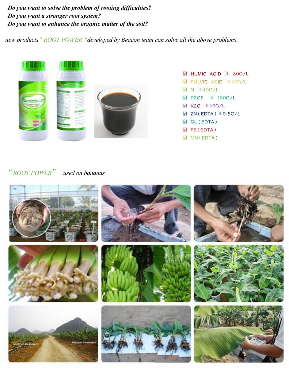 Rooting fertilizer liquid exports worldwide
e-mail:nicole8@humicliquidfertilizer.com
web:aminoacidsagrochem.com
humicliquidfertilizer.com
Whatsapp:+86 13920975112
