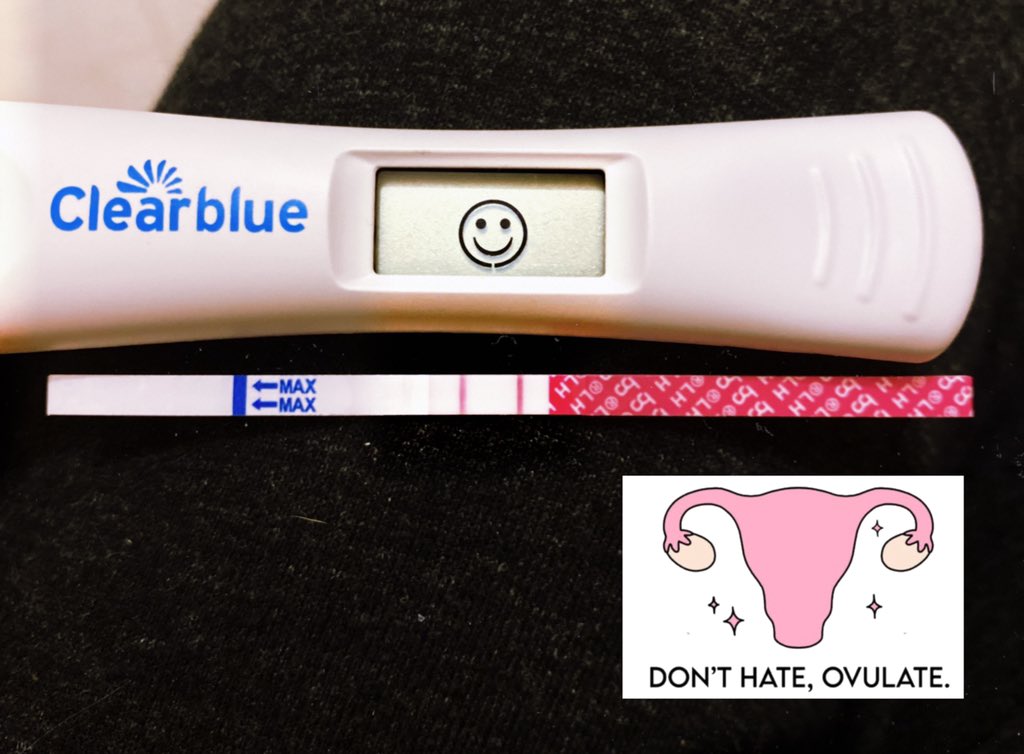 hottmessbee's tweet photo. The life of a #TTC #WOMAN ! #pregnancy #tryingtoconceive #babymaking #fingerscrossed #ovulate #ovulation #ovulationday #happyday #babydance #sexytime #fertility https://t.co/gayZUvD3Fq