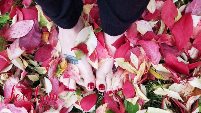 Fall has arrived! Let's play in some leaves!!! #petitefeet #toes #Feet #feetsforsale #picsforsale #alternativegirl<a href="/tag/footfetish"class="tags"><span>#footfetish</span></a><a href="/tag/feet"class="tags"><span>#feet</span></a><a href="/tag/fetish"class="tags"><span>#fetish</span></a><a href="/tag/toes"class="tags"><span>#toes</span></a><a href="/tag/petitefeet"class="tags"><span>#petitefeet</span></a><a href="/tag/alternativegirl"class="tags"><span>#alternativegirl</span></a>