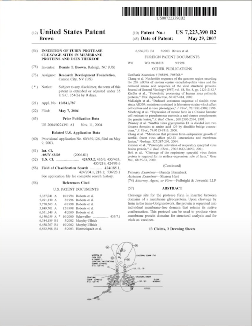 Regardless of its origin, studying the evolution of the molecular mechanisms involved in the emergence of this pandemic virus is essential to develop therapeutic and vaccine strategies.