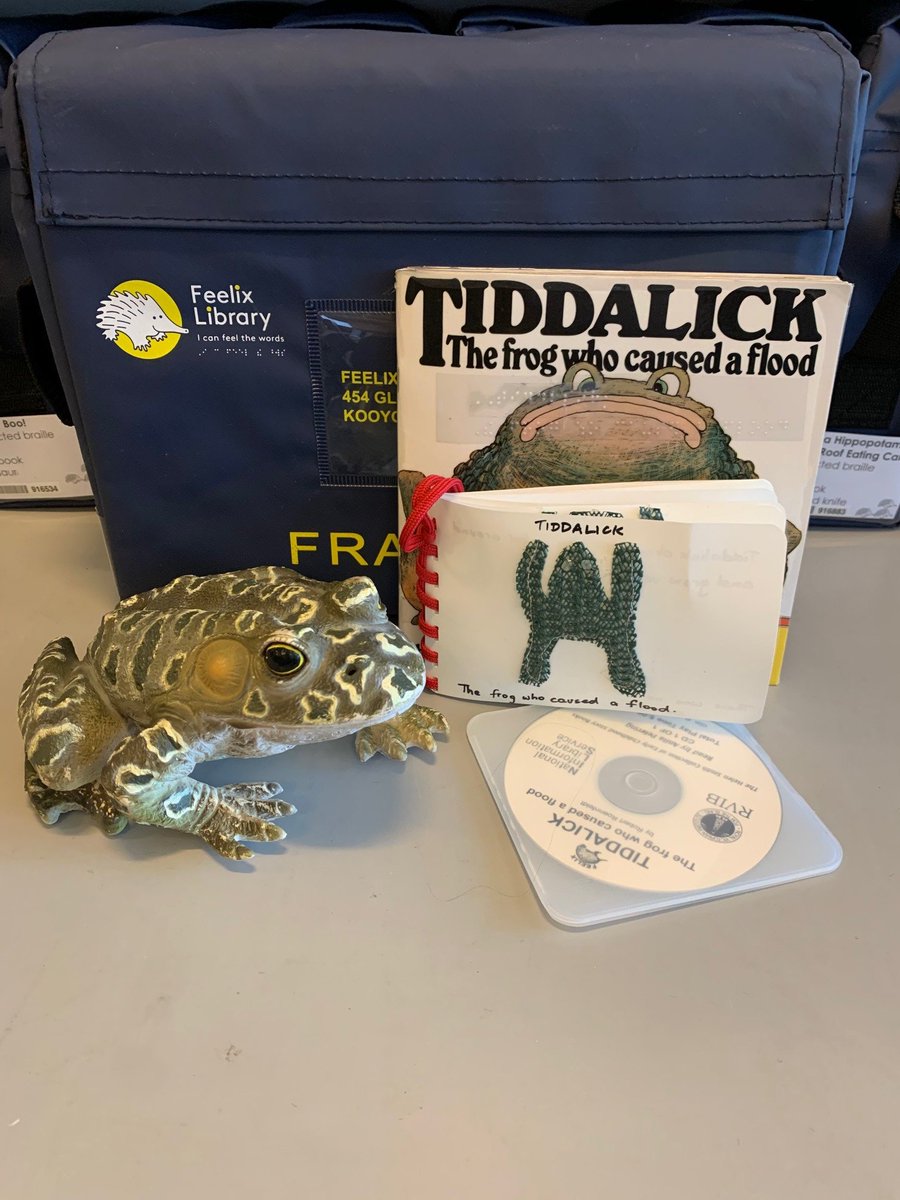 VALibrary's tweet photo. Here are some kits in our #FeelixLibrary for #NAIDOCWeek2020 sharing First Nations stories with children who are blind or have low vision. 

#AlwaysWasAlwaysWillBe https://t.co/Yva7jQALnH