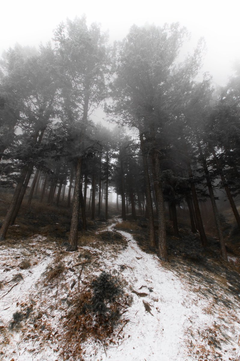 Dave Catuccio tweet media