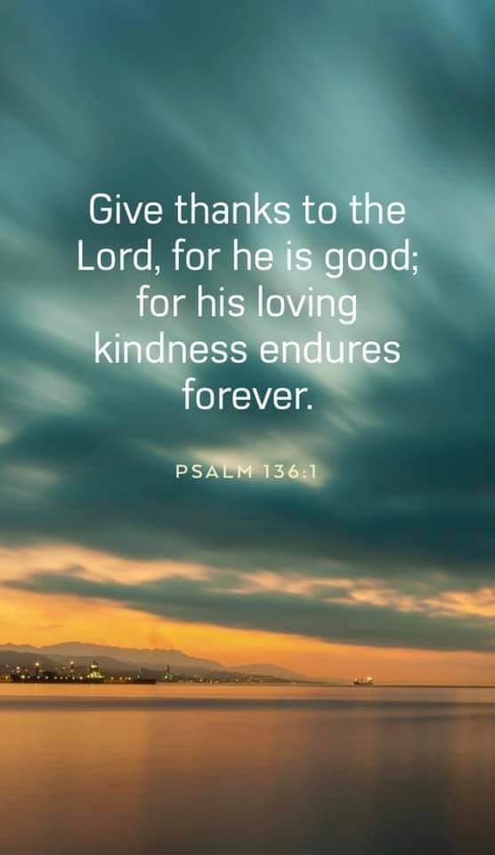 RareCat's tweet photo. @IvyLAsmus @rkmeeks72 @EdPiotrowski @wxbywilliams @Words2Whisper @MikeCornell29 @miyaby22 @luvjuan @LEAD_Coalition @enriquillo2 @EnglishElective @CynicalMother @The1LCheatwood @GorselSl @Coffin_Corner8 #HeIsALovingGod
Sweet dreams sister @IvyLAsmus
#GodBlessAllWhoReadThis https://t.co/D9SzjtzZY9