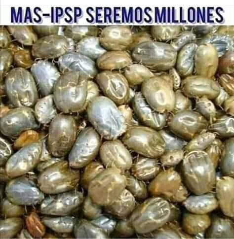 MeallaOvando's tweet photo. @CMonteroOficial https://t.co/RZchBlx95E