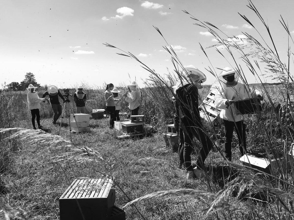PollinatorsKU's tweet photo. KU beekeeping club working as busy as bees! #honeybees #pollinators 
https://t.co/PyP4QXP9WX https://t.co/ow9VwXV3oa