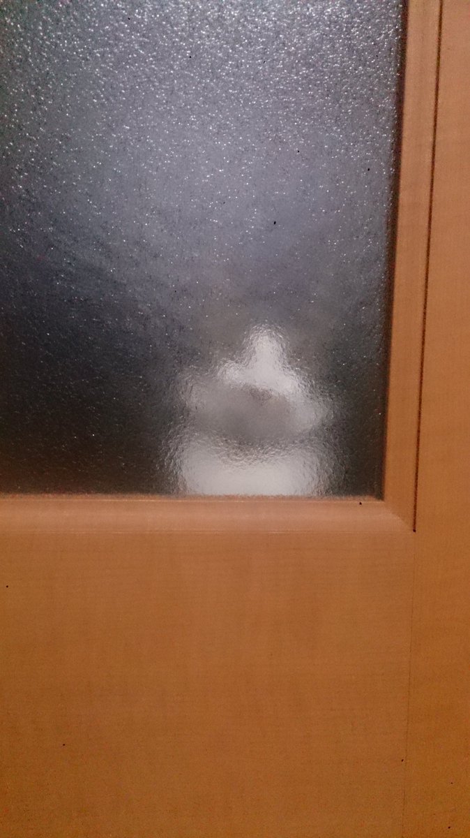 yuki2prpr's tweet photo. フォロワーの皆さんに悲しいお知らせ。
昨日にゃんこが亡くなりました。
心臓？から出た血の塊が下半身にいき、血管でつまり下半身が動かなくなったことが原因だそうです。
今まで温かく見守ってくださりありがとうございました。 https://t.co/dkSBDEVopz