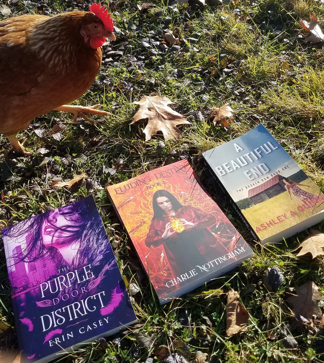 RandiPander's tweet photo. So many new books

Eluding Destiny by Charlie Nottingham, A Beautiful End by Ashley A. Quinn, The Purple Door District by @erincasey09.

#authorssupportingauthors #authorscommunity #indieauthor #supportindieauthors #bookstagram #readstagram #bookstagramer #readingtime #Kindle https://t.co/b69tEgjDjz