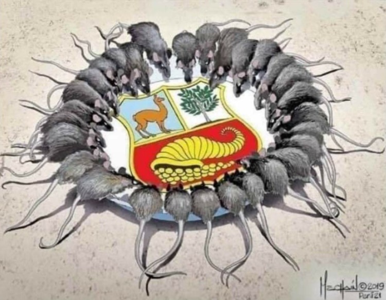 CarlosCarlinOf's tweet photo. Gracias políticos peruanos #merinoNOMEREPRESENTAS https://t.co/QFGZLsywij