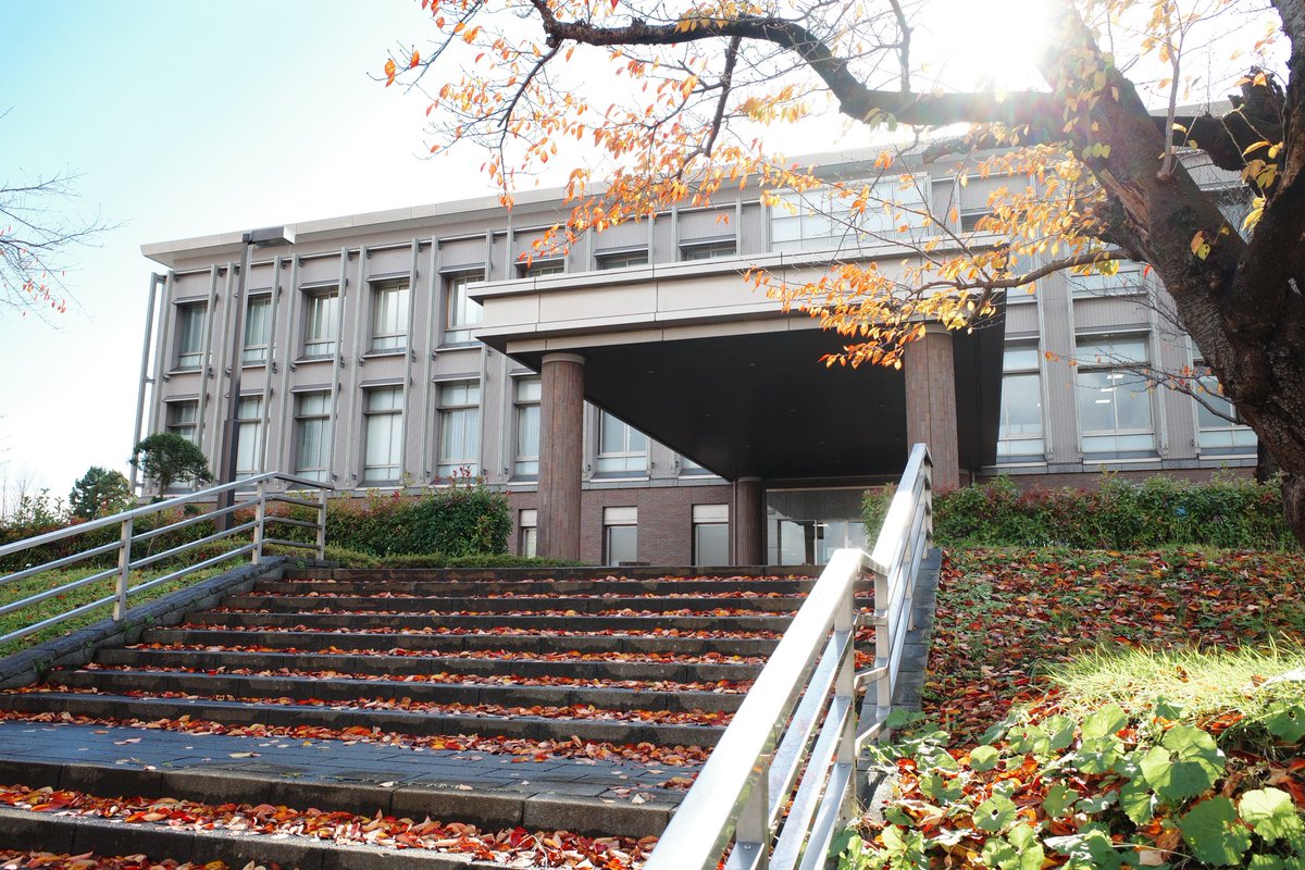 ののゆー 青森の中の真理を求めて 青森地方裁判所弘前支部 青森家庭裁判所弘前支部 弘前簡易裁判所 弘前検察審査会の建物 よくわからないけどなんだか素敵