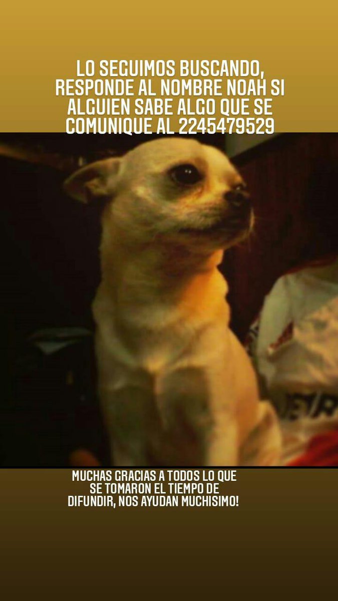 Lo estamos buscando si alguien sabe algo por favor que se comuniquen al 2245479529