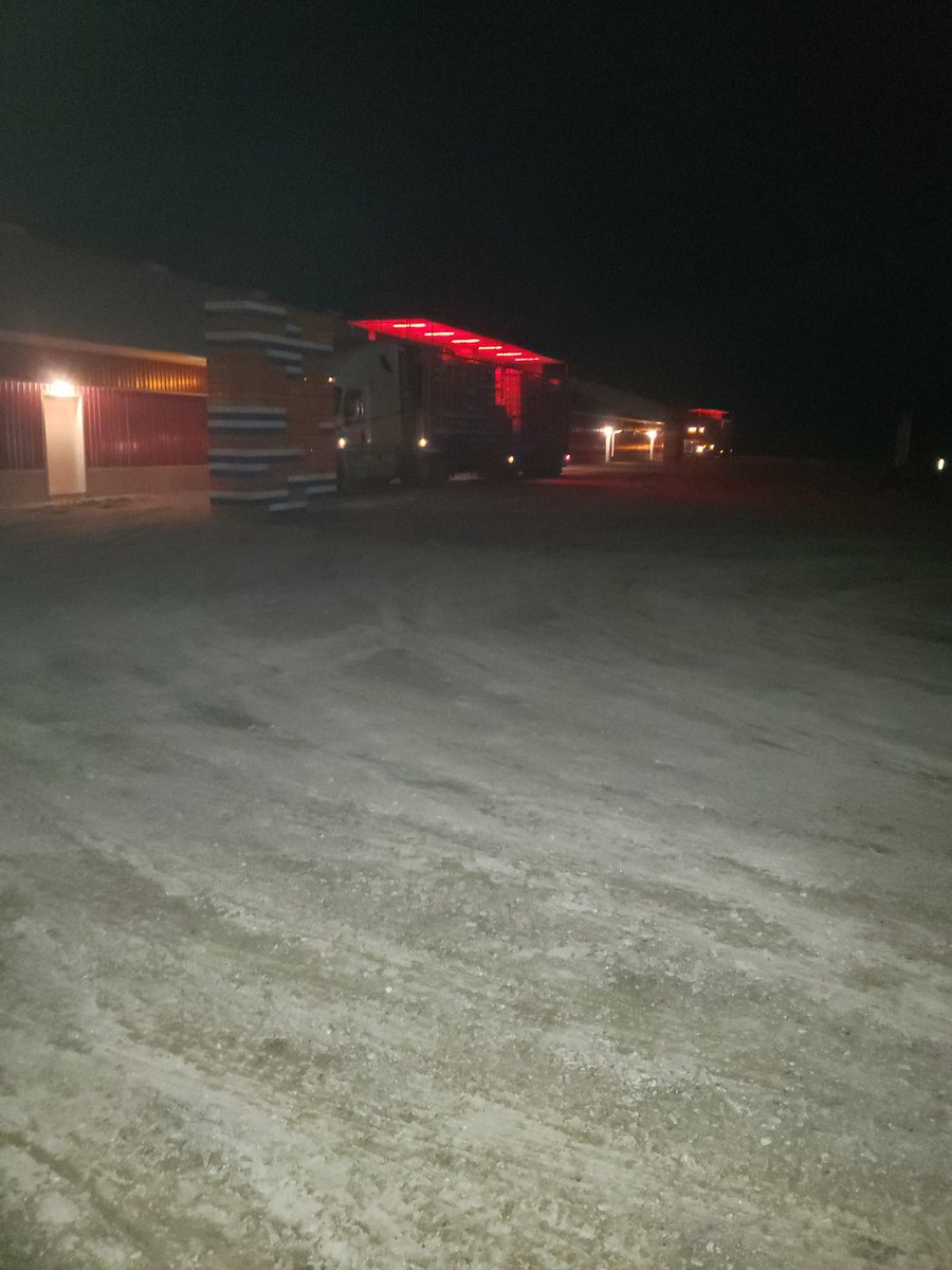 Can't ask for a better night to ship birds in November!  #tshirtweather #ontag